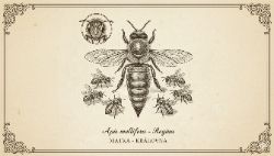 Matka (Včelí Královna)